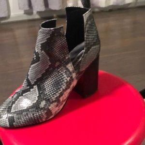 Snake ankle boots,size 8,Steve Madden